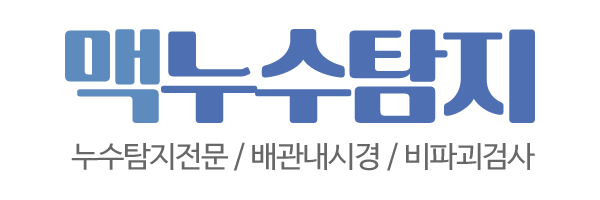 맥누수탐지_로고