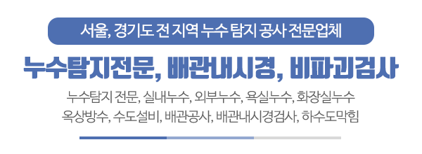 맥누수탐지_메인문구_내용